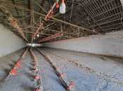 Obyekt - Mehdiabad q. - 900 m²