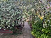 Сдаётся 3-комн. дом/дача 70 м², пос. Гала, photo 7 from 8