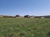Torpaq - Mehdiabad q. - 25 sot