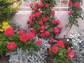 Продаётся 4-комн. дом/дача 110 м², пос. Новханы, photo 6 from 8