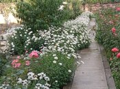 Продаётся 8-комн. дом/дача 275 м², photo 6 from 8