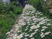 Продаётся 8-комн. дом/дача 275 м², photo 8 from 8