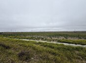 Продаётся  участок 185 сот, пос. Горадил, photo 6 from 7