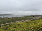 Продаётся  участок 185 сот, пос. Горадил, photo 5 from 7