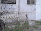 2 otaqlı köhnə tikili - Neftçilər m. - 42 m²