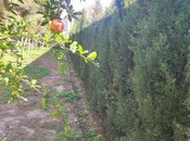 Продаётся  участок 3 сот, пос. Мардакан, photo 1 from 3