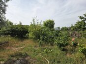 Участок - пос. Вишнёвка - 6.4 сот