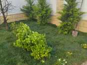 Продаётся 5-комн. новостройка 240 м², пос. Мардакан, photo 5 from 8