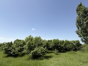 Продаётся 4-комн. дом/дача 150 м², photo 7 from 8