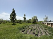 4 otaqlı həyət evi/bağ evi - İsmayıllı - 150 m²