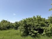 Продаётся 4-комн. дом/дача 150 м², photo 8 from 8