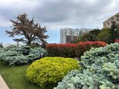 3 otaqlı köhnə tikili - İçəri Şəhər m. - 80 m²