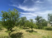 Продаётся  участок 20 сот, photo 7 from 8