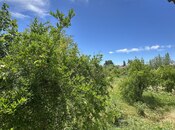Продаётся 3-комн. дом/дача 100 м², photo 6 from 8