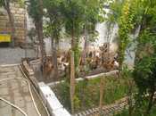 Продаётся 9-комн. дом/дача 240 м², пос. Бадамдар, photo 6 from 8