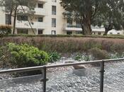İcarəyə verilir 3 otaqlı yeni tikili 130 m², Səbail r., photo 3 from 8