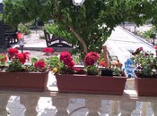 Satılır 5 otaqlı həyət evi/bağ evi 285 m², Novxanı q., photo 7 from 8