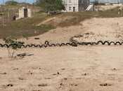 Satılır  torpaq 11 sot, Nardaran q., photo 2 from 6