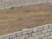 Satılır  torpaq 11 sot, Nardaran q., photo 1 from 6