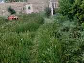 Продаётся 3-комн. дом/дача 135 м², пос. Нардаран, photo 3 from 5