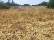 Продаётся  участок 4 сот, пос. Мардакан, photo 5 from 5
