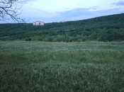 Продаётся  участок 50 сот, photo 5 from 5