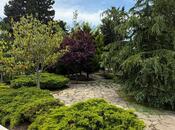 Продаётся 6-комн. дом/дача 750 м², пос. Мардакан, photo 7 from 8