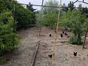 Продаётся  участок 8 сот, пос. Бильгях, photo 2 from 3