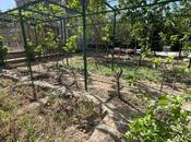 Продаётся 5-комн. дом/дача 460 м², пос. Мардакан, photo 5 from 8