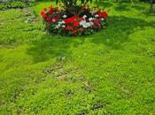 İcarəyə verilir 4 otaqlı həyət evi/bağ evi 220 m², Sea Breeze q., photo 4 from 8