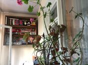 Satılır 3 otaqlı köhnə tikili 70 m², Memar Əcəmi m., photo 8 from 8