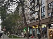 İcarəyə verilir 4 otaqlı köhnə tikili 90 m², Gənclik m., photo 8 from 8
