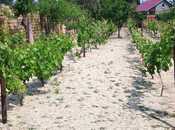 Продаётся  участок 23 сот, photo 1 from 8