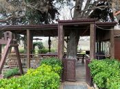 Satılır 7 otaqlı həyət evi/bağ evi 245 m², Mərdəkan q., photo 5 from 8