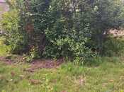 Продаётся  участок 11 сот, пос. Бузовна, photo 8 from 8