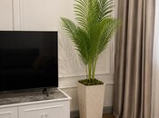 İcarəyə verilir 2 otaqlı yeni tikili 75 m², Nərimanov r., photo 4 from 8