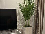 Сдаётся 2-комн. новостройка 70 м², м. Нариман Нариманов, photo 1 from 8