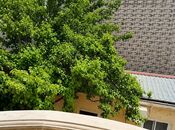 Satılır 6 otaqlı həyət evi/bağ evi 190 m², Dərnəgül m., photo 5 from 8