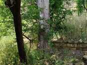 Satılır  torpaq 5 sot, Qaraçuxur q., photo 1 from 3