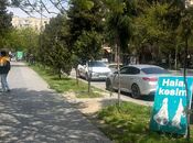 Продаётся  объект 23 м², м. Ахмедлы, photo 4 from 8