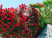 Сдаётся 7-комн. дом/дача 500 м², пос. Нардаран, photo 5 from 8