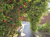 Satılır 8 otaqlı həyət evi/bağ evi 168 m², Binə q., photo 6 from 8