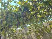 Satılır 3 otaqlı həyət evi/bağ evi 140 m², Bilgəh q., photo 7 from 8