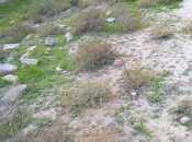 Satılır  torpaq 1.9 sot, Badamdar q., photo 2 from 3