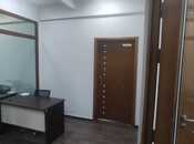 Продаётся  объект 620 м², м. Гянджлик, photo 4 from 8