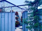 Продаётся 3-комн. дом/дача 110 м², пос. Пиршаги, photo 5 from 8
