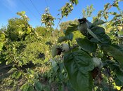 Продаётся 3-комн. дом/дача 75 м², пос. Новханы, photo 7 from 8