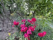 Продаётся 3-комн. дом/дача 75 м², пос. Новханы, photo 1 from 8