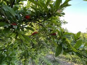 Продаётся 3-комн. дом/дача 75 м², пос. Новханы, photo 8 from 8