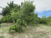 Продаётся 3-комн. дом/дача 75 м², пос. Новханы, photo 3 from 8